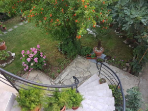 Guest House Veselina